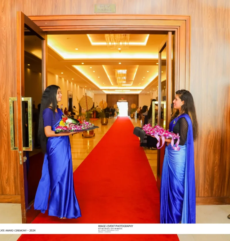 434428495_917289927070969_1167736761990971470_n